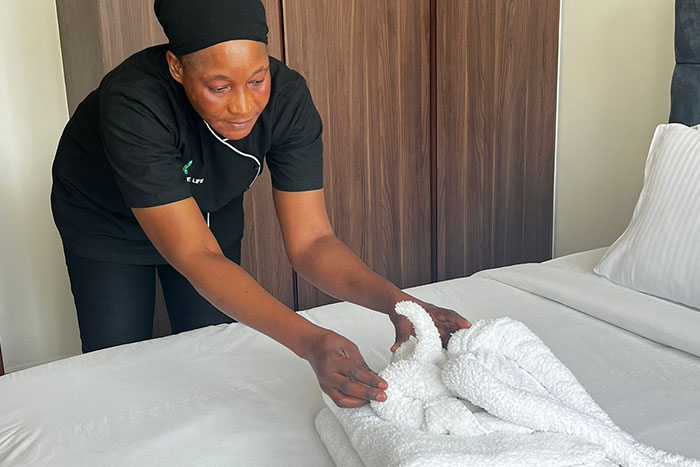 Domestique Life — premium cleaning