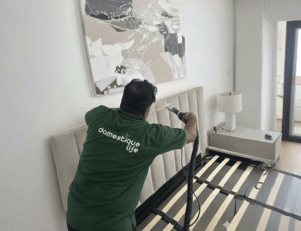 Gemini_Generated_Image_quksjrquksjrquks